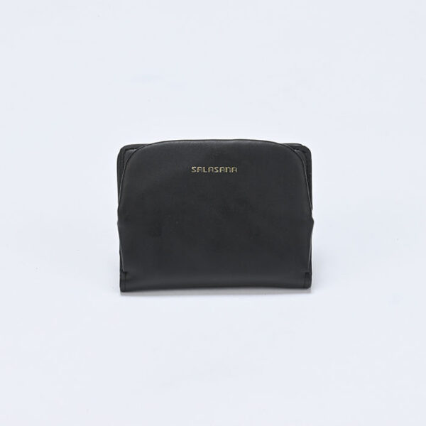 Salasana Wallet