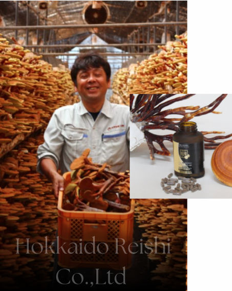 Organic Reishi Mushroom Supplements Refined by Nature