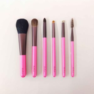 cherry makeup brush set of 6