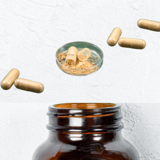 oukou deer antler reishi premium dx (旺煌鹿角霊芝プレミアムdx)