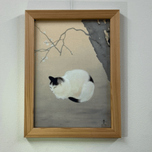 import placeholder for 7608