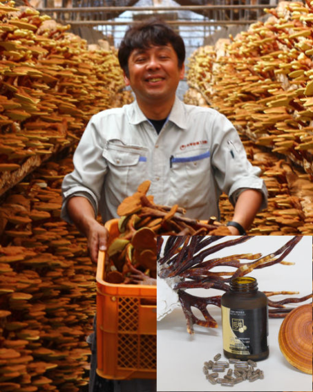 Hokkaido Reishi Co.,LtdArtist from Hokkaido, Japan.
Organic Reishi Mushroom Supplements Refined by Nature

VISIT SHOP →